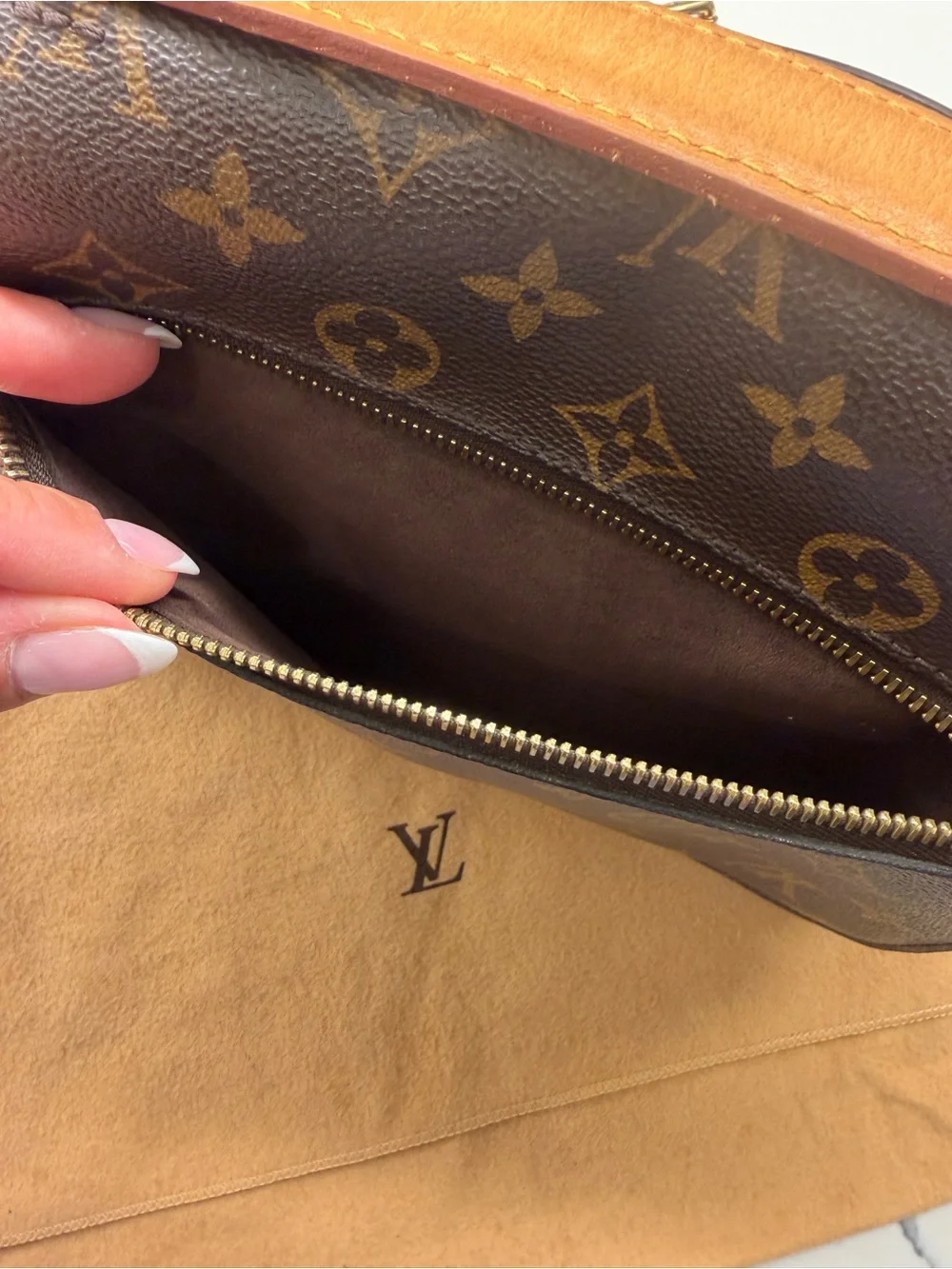 Louis Vuitton Monogram Pochette Metis